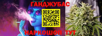 шишки Обь