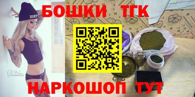 шишки Обь