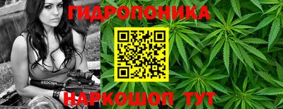 крисы Обнинск