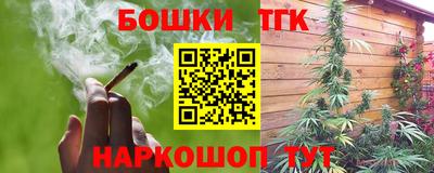 шишки Обь