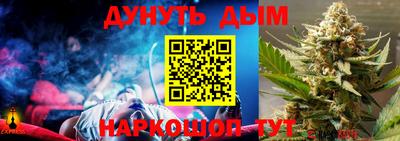 шишки Обь
