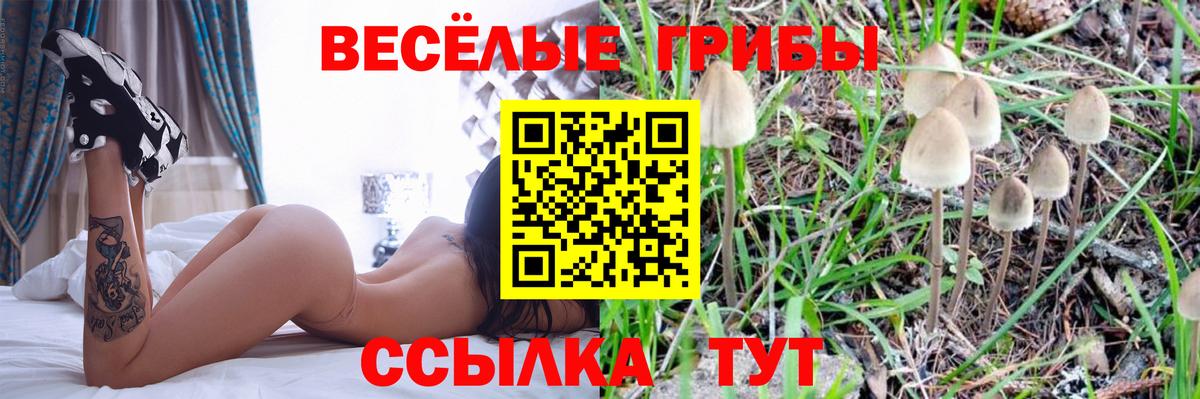 Псилоцибиновые грибы ЛСД Рязань